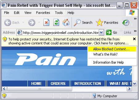 Pain Relief With Trigger Point Therapy Self Help Book On Cd Rom Troubleshooting For Windows